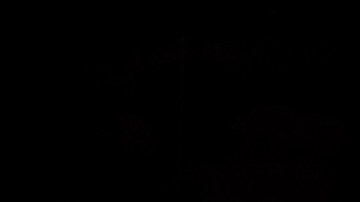 Óctagono de UFC. Imagen referencial.