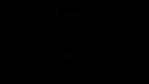 Óctagono de UFC. Imagen referencial.