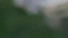 El exjugador de los Giants falleció a sus 28 años.