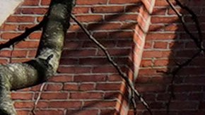 Según NYPD, los delitos graves de agresión tuvieron un alza de un 3% y los robos subieron a 4.1%.