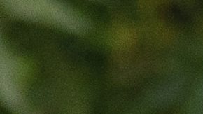 Joana Sanz y Dani Alves durante un evento en Londres en 2021.