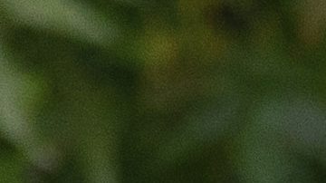 Joana Sanz y Dani Alves durante un evento en Londres en 2021.