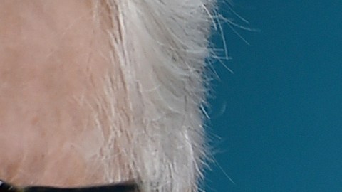 Se desconoce el uso que le dará Martin Short a esta casa.
