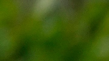 ¿Gustavo Petro exigirá pasaporte vigente a los migrantes venezolanos para ingresar a Colombia?