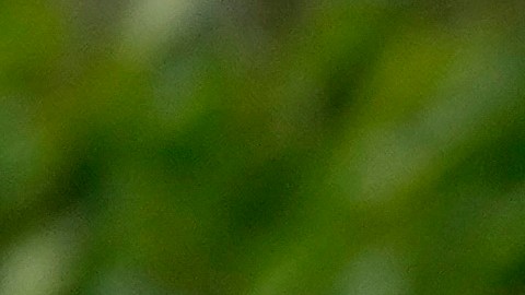 ¿Gustavo Petro exigirá pasaporte vigente a los migrantes venezolanos para ingresar a Colombia?