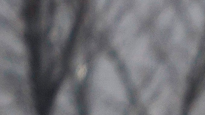 Agentes de policía en Nueva Jersey/Archivo.