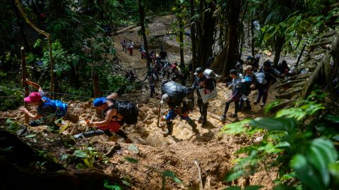 La jungla del Darién, de 575,000 hectáreas, es un parque nacional panameño que une a Suramérica con el istmo centroamericano.