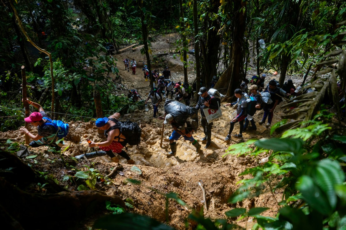 Más de 118,000 migrantes irregulares han cruzado la selva del Darién en lo que va de 2024