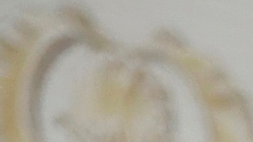 Suki Waterhouse y Robert Pattinson en la MET Gala