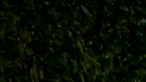 Robert De Niro y Tiffany Chen