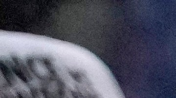 El entrenador de Crawford confía en el triunfo de su peleador ante el Canelo.