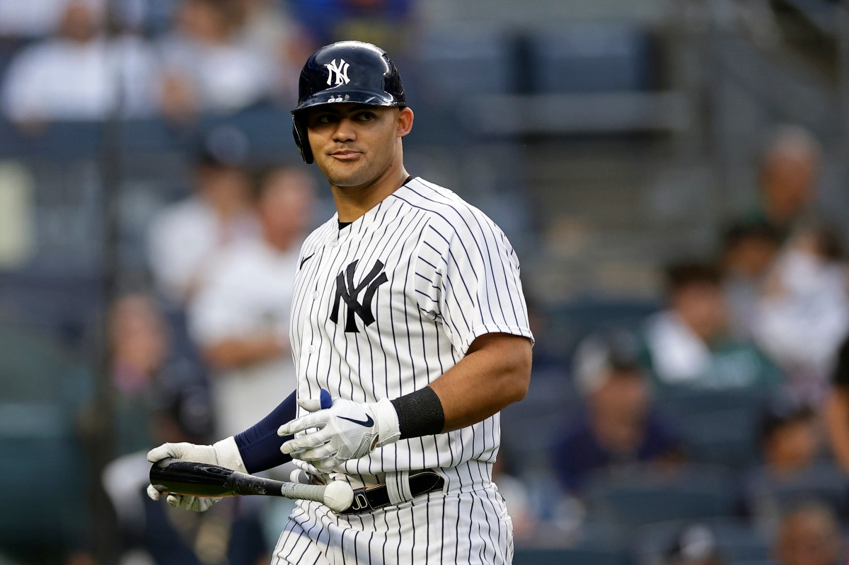 Jasson Domínguez sigue con su trabajo de recuperación y apunta a regresar en 2024 con Yankees