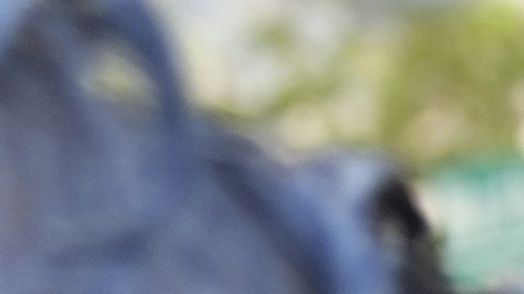 Menéndez y su esposa se declararon no culpables de los cargos de soborno.