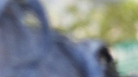 Menéndez y su esposa se declararon no culpables de los cargos de soborno.