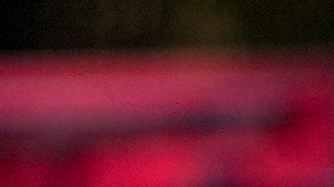 Police Training Center Protest