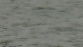 La instalación de las boyas produjeron que el Gobierno de México pidiera en diferentes oportunidades a EE.UU. que se retirara la barrera, porque la mayoría estaba en su territorio.