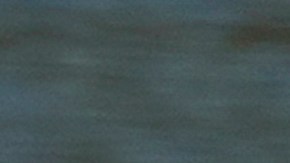 DHS ha expulsado a más de 660.000 migrantes, incluyendo 102,000 personas clasificadas como miembro de una familia.