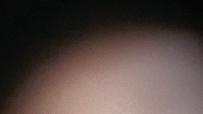 Murdaugh Killings Appeal