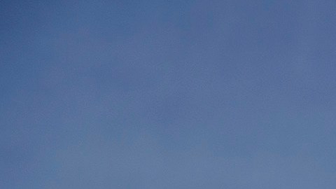 Los investigadores están intentando determinar cómo las menores de edad pudieron haber llegado a la autopista.