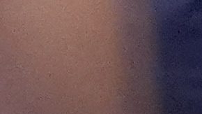 Insólito: Luchador de MMA vetado de por vida por agredir a mujer que lleva cartel en el ring [Video]