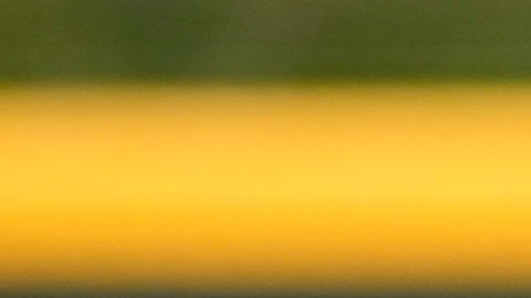 Jackson Holliday durante un encuentro con Baltimore Orioles en el Spring Training 2024.