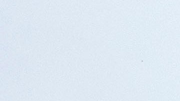 Corte Suprema de EE.UU.