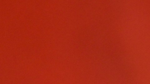 Sofía Vergara finalmente confirmó los rumores de romance con el Dr. Justin Saliman.