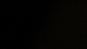 Uso del español en campañas electorales de Estados Unidos aumentó casi 50% en los dos últimos años