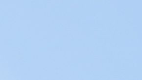 ¿Participará en la Copa América de EE.UU.?: Israel anunció acuerdo de trabajo con Conmebol