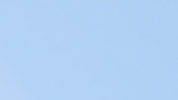 ¿Participará en la Copa América de EE.UU.?: Israel anunció acuerdo de trabajo con Conmebol