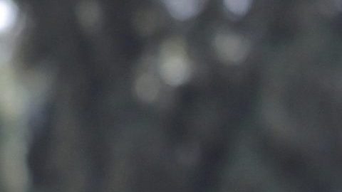 avisó de que la “mínima acción” contra intereses iraníes recibirá una “respuesta dura, amplia y dolorosa contra el perpetrador.