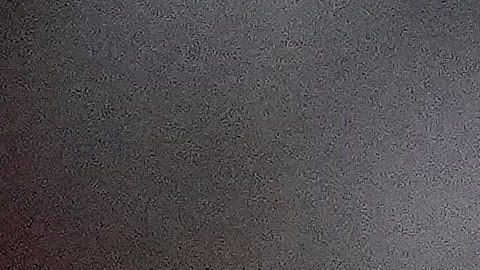 Dominicano Juan Soto se llevó la distinción como 'Jugador de la Semana' de la Liga Americana