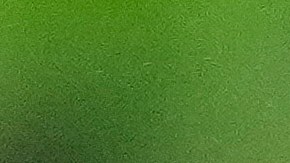 Raúl Ruidíaz durante un encuentro ante el CF Montreal por la MLS.