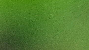 Raúl Ruidíaz durante un encuentro ante el CF Montreal por la MLS.