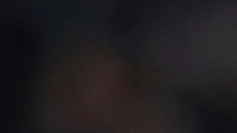 Cristian Arango luce la banda de capitán durante un choque ante Chicago Fire FC.