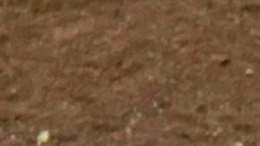 Elly De La Cruz, jugador de los Reds.