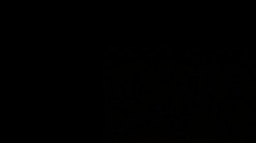 Kennedy Jr. en un acto de campaña.