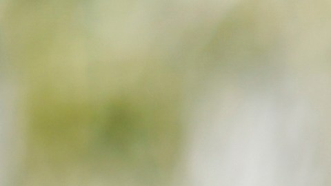 Gobernante venezolano Nicolás Maduro