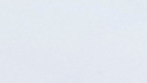 Hinchas del Bayer Leverkusen invadieron el campo tras ganar la primera Bundesliga de su historia