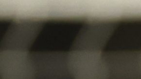 ¿Problemas en Chelsea?: Cole Palmer, Noni Madueke y Nico Jackson a los empujones por un penal [Video]