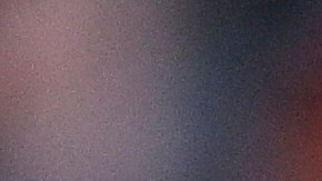 Prospecto Jackson Chourio hace historia y se suma a una selecta lista que incluye a Andruw Jones 