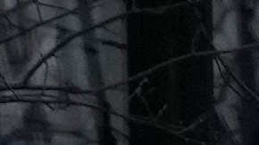 Google en Nueva York