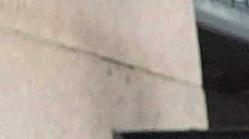 Israel Palestinians Columbia Protests