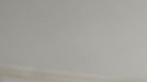 Primarias demócratas