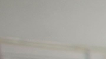 Primarias demócratas