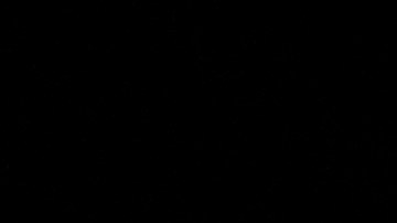 Tank Dell es una de las estrellas de Houston Texans.