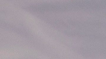 Israel Palestinians Campus Protests