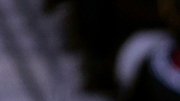 Momento en el que Brian White define de taco ante el guardameta de New York Red Bulls.