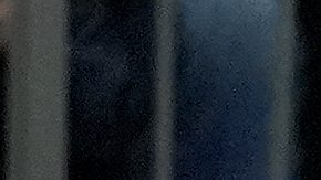 Insólito: Mike Conley chocó contra su entrenador en Timberwolves y lo lesionó de gravedad [Video]