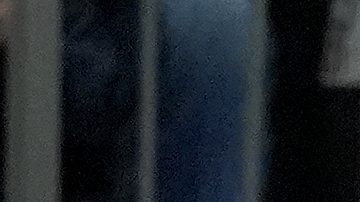 Insólito: Mike Conley chocó contra su entrenador en Timberwolves y lo lesionó de gravedad [Video]